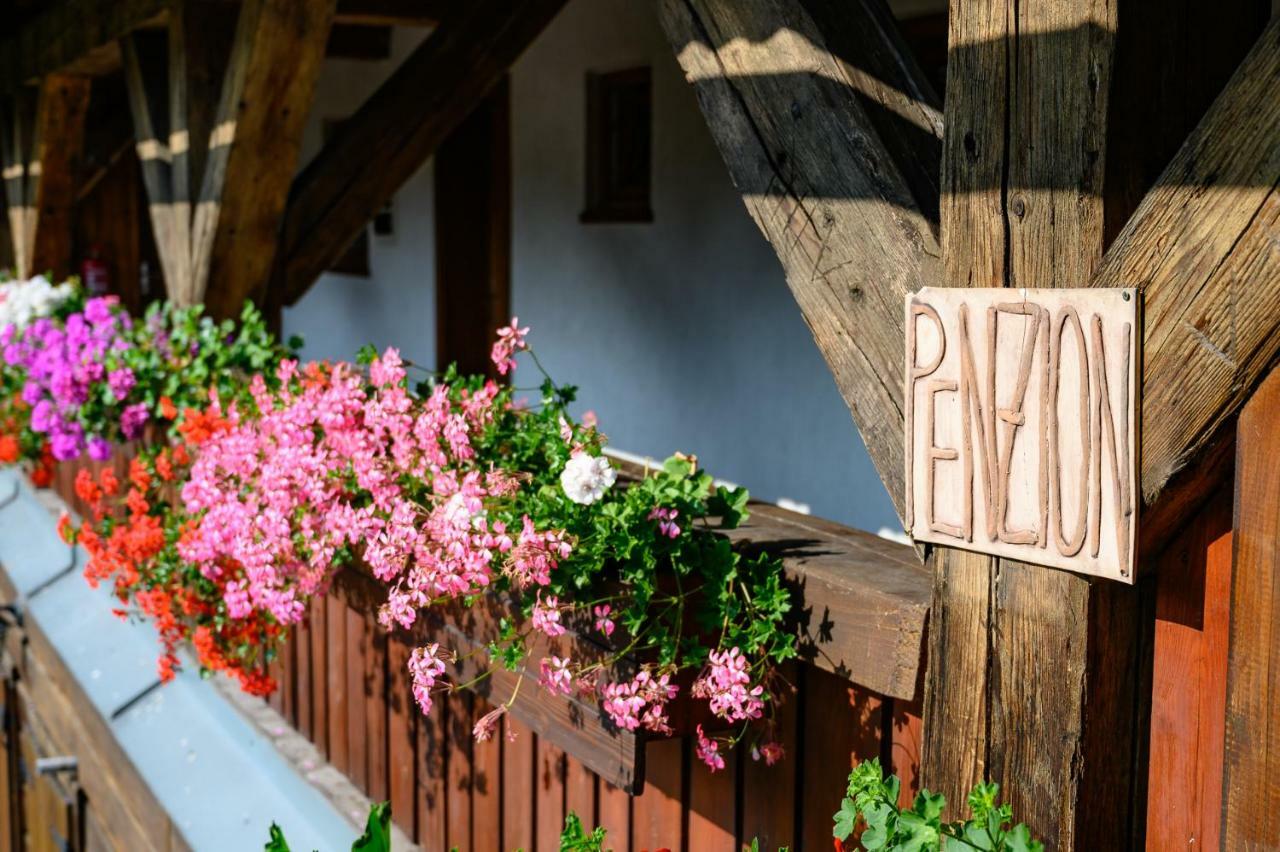 Penzion Tyra Trinec Esterno foto